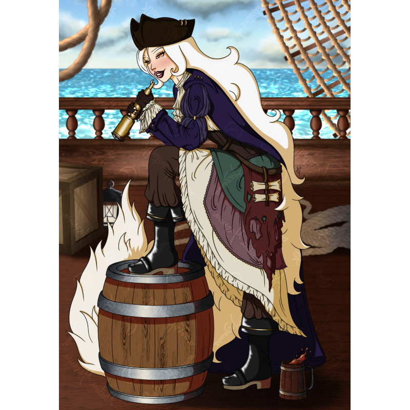 Histoire de piraterie