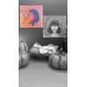 Portraits - Evils (opposés à "Goods")
